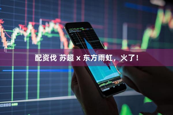 配资伐 苏超 x 东方雨虹，火了！