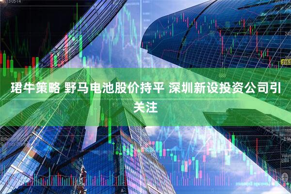 珺牛策略 野马电池股价持平 深圳新设投资公司引关注