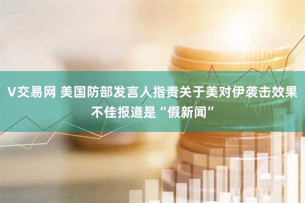 V交易网 美国防部发言人指责关于美对伊袭击效果不佳报道是“假新闻”