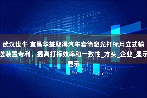 武汉世牛 宜昌华益取得汽车套筒激光打标用立式输送装置专利，提高打标效率和一致性_方头_企业_显示