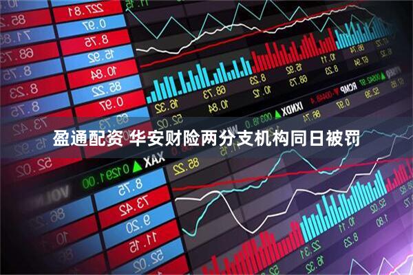 盈通配资 华安财险两分支机构同日被罚