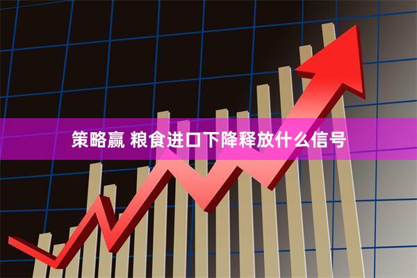 策略赢 粮食进口下降释放什么信号