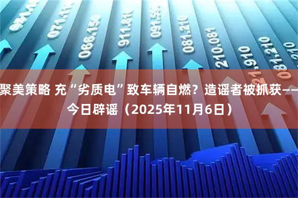 聚美策略 充“劣质电”致车辆自燃？造谣者被抓获——今日辟谣（2025年11月6日）