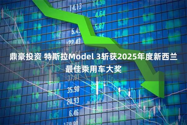 鼎豪投资 特斯拉Model 3斩获2025年度新西兰最佳乘用车大奖