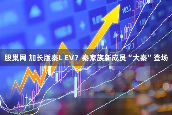 股巢网 加长版秦L EV?秦家族新成员“大秦”登场
